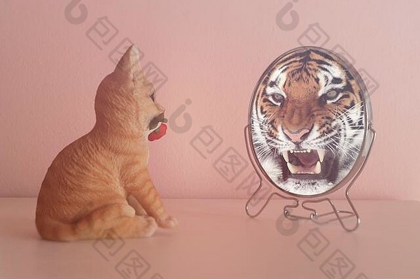 小猫镜子看到反映了老虎自信概念业务个人增长