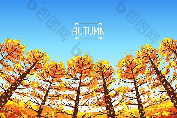 秋天的森林背景和风格化的树木。