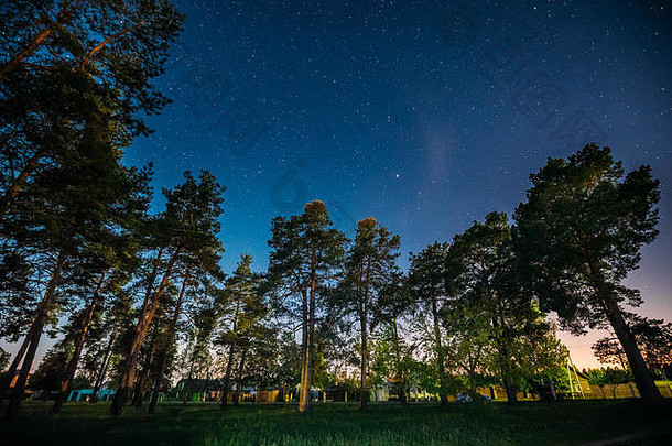 夜空<strong>下</strong>，公园里绿树成荫。公园上空的夜景，有着真实的自然发光的星星。从东欧看春天