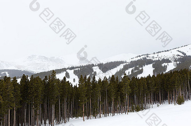 冬天的布雷肯里奇滑雪场。