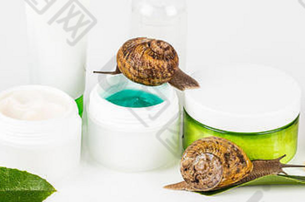 有机化妆品由蜗牛制成，在欧洲对皮肤、健康和时尚非常有益。一罐奶油、凝胶、棕色药瓶和药片