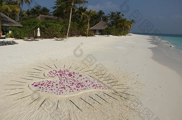 沙滩上的爱的信息，热带岛屿上花瓣的心