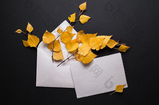 秋天卡黄色的树叶黑色的背景信封白色空白表纸的地方促销文本