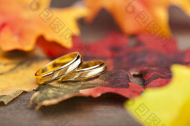 喜庆秋季装饰的结婚订婚戒指