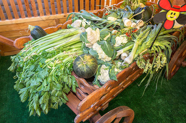 农业收获新鲜的蔬菜木车农民市场