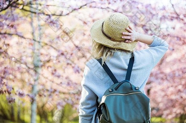 戴草帽的美女在樱花盛开的美丽公园里旅行，享受春天的自然。带着背包的游客。后视图