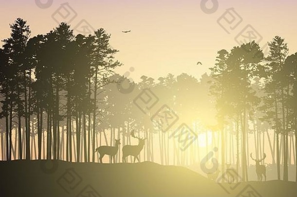 针叶林山地景观的写实插图。鹿群在黄色的天空下和飞鸟一起吃草，在阳光下和日出一起吃草