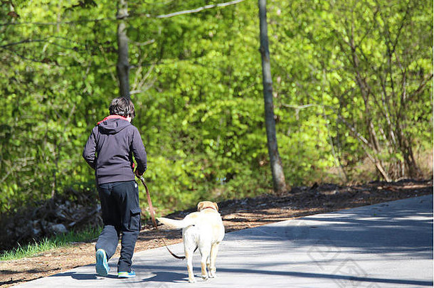 小男孩和他的狗拉布拉多猎犬在树林里的路上散步
