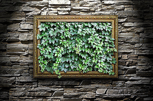 框架石头墙绿色叶子内部