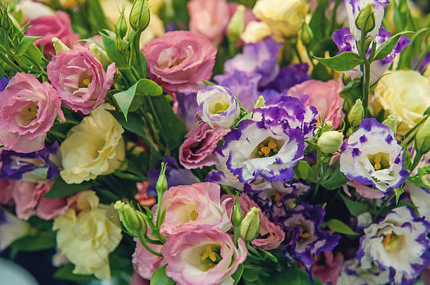 花店里有一<strong>大</strong>束五颜六色的紫檀花，以礼盒的形式出售。农贸市场。闭合。水平fr
