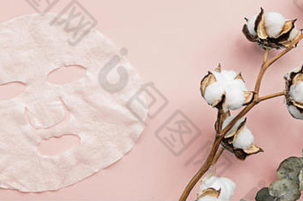 面罩，桉树和棉花花在粉彩粉底纸背景。网页设计的横幅。皮肤护理，皮肤病学，美容概念。顶部
