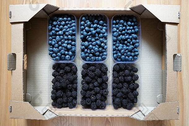 六个装满新鲜黑莓和蓝莓的塑料容器放在一个硬纸盒里。