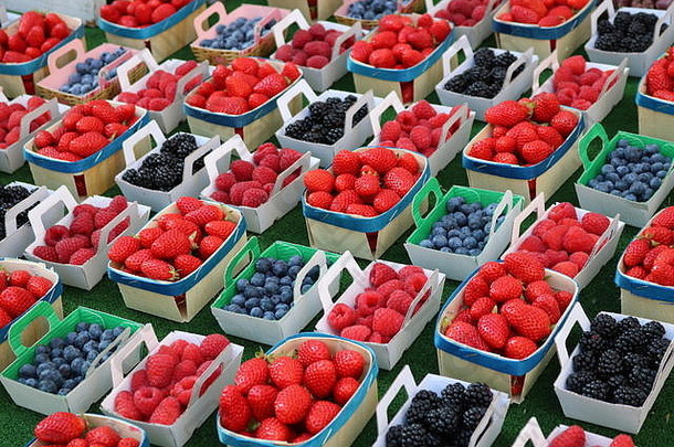 陈列整齐的一排相同大小的夏季水果盒——覆盆子、蓝莓、黑莓和草莓