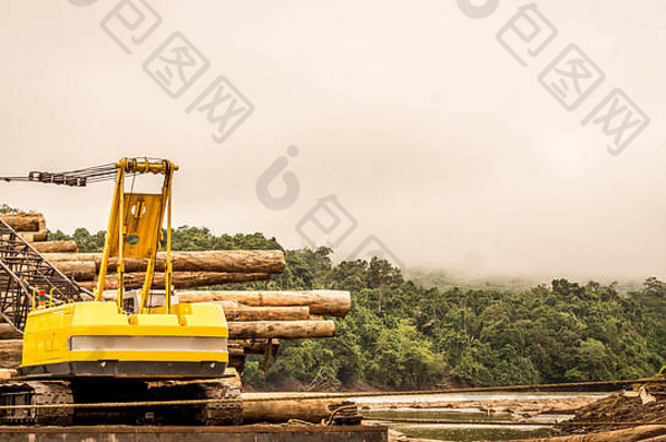 重机械加载木材驳船林业工业活动驳船木材河准备好了运输