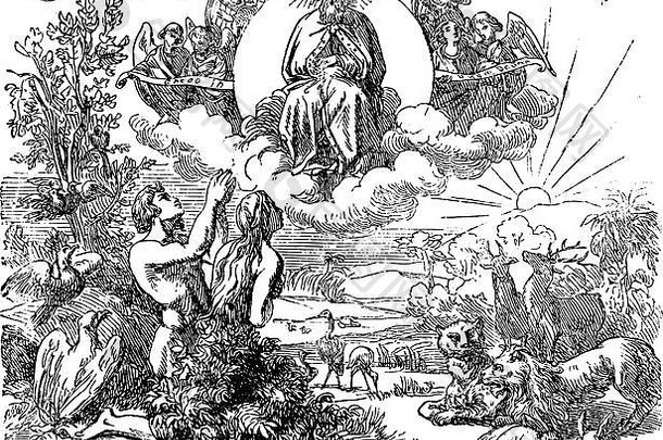 《圣经》中的上帝和天使在动物和亚当夏娃的头顶上飞翔，在创世后的伊甸园中，古老的插图和<strong>线条画</strong>或雕刻。创世记1-2。
