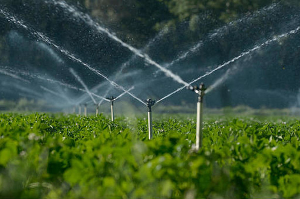 洒水器给田地浇水，使庄稼长得更好