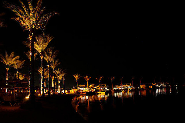 晚上全景视图照亮棕榈树海岸赫尔加达热带度假胜地美丽的全景晚上海海岸灯晚上