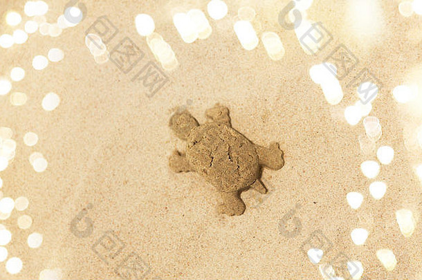 夏季海滩上用龟纹制作的沙形