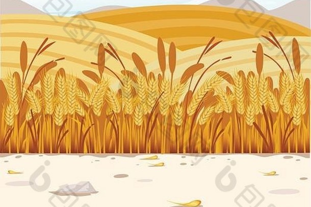小麦场插图农村景观好阳光明媚的一天背景水平横幅设计