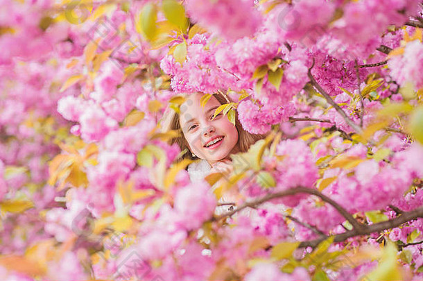 娇嫩的花朵。樱花树背景上粉红色花朵上的孩子。植物学概念。喜欢樱花樱花的女孩。可爱的孩子享受温暖的春日。迷失在花丛中。在樱花附近摆姿势的女游客。