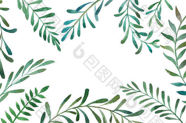 橄榄枝的手绘水彩插图。框架中的装饰图形元素用于婚礼品牌、请柬、礼品卡。孤立的