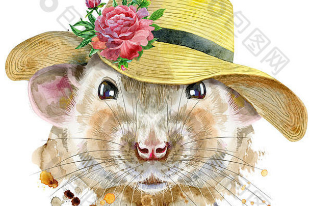 戴宽边夏帽的老鼠水彩肖像画