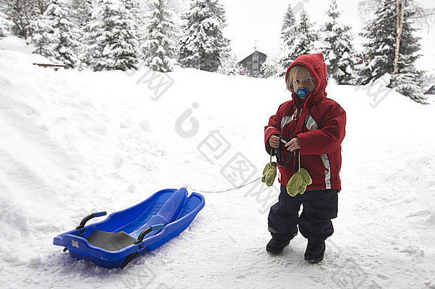 在山上拉雪橇的2岁女孩，冬天，下雪