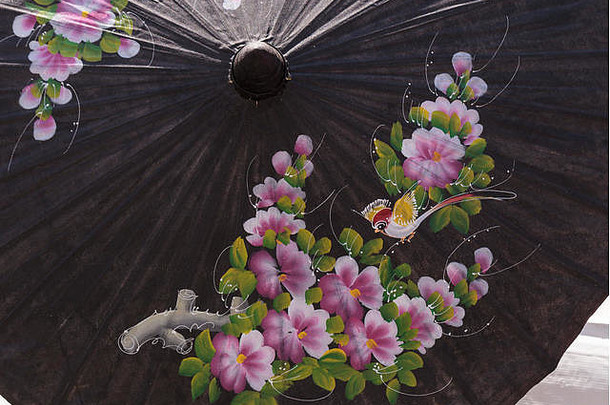 石油纸中国人伞背景色彩斑斓的花装饰