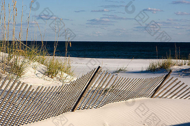 海岸线的沙篱笆利用风力建造沙丘，促进海湾沿岸海燕的生长
