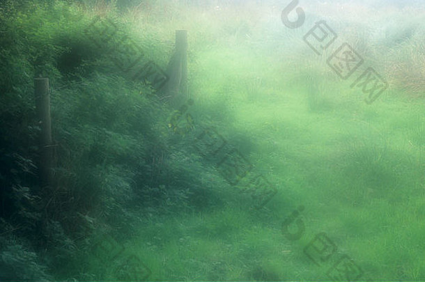 一个粗糙牧场角落的大气视图，带有木制栅栏柱和侵入的荨麻
