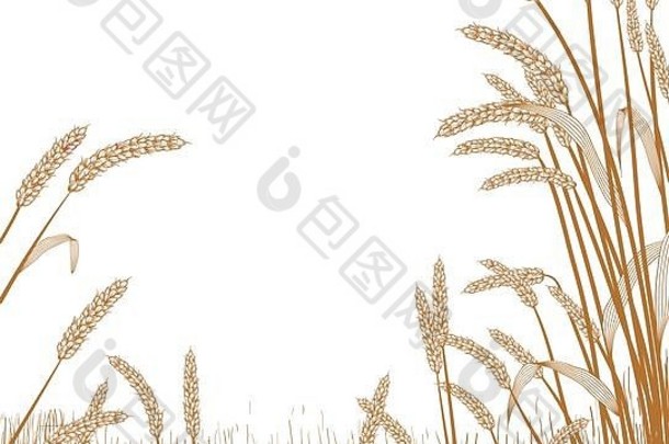 穿过麦田的视图，麦草束构成前景中的场景