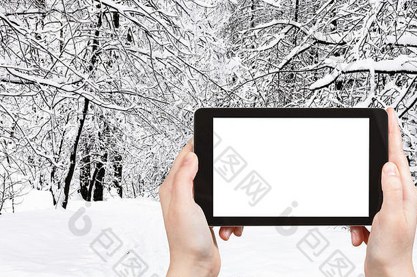 旅游理念-莫斯科市冬季雪城公园雪地里的道路的旅游照片，用智能手机拍摄，带有空白的屏幕