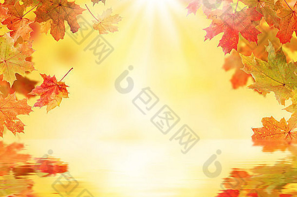 彩色的秋天叶子下降模糊背景