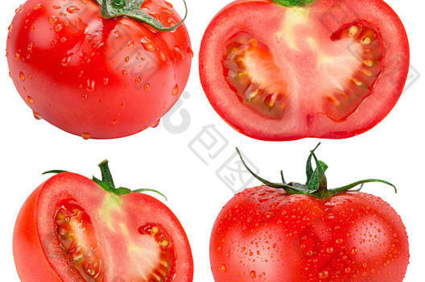 收集在白色背景上分离的西红柿。