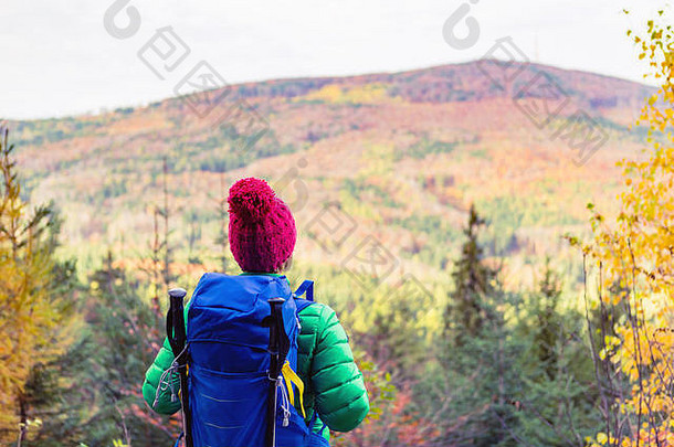 背着背包徒步旅行的女人，看着鼓舞人心的秋天金色森林。秋季户外健身旅游与健康生活方式