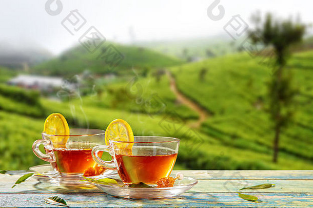 杯热茶种植园背景