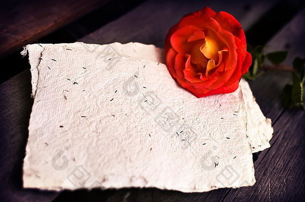 美丽的红玫瑰，木质质朴背景，手工制作