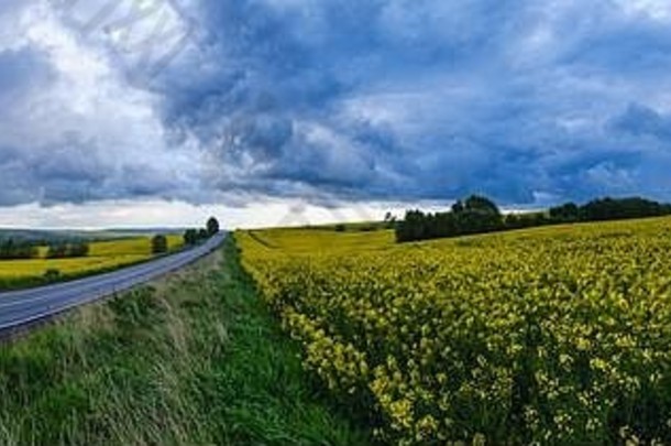 春暖花开的黄色油菜田，区域公路，多云的雷雨前多雨的天空和青山的全景。自然季节、天气、气候
