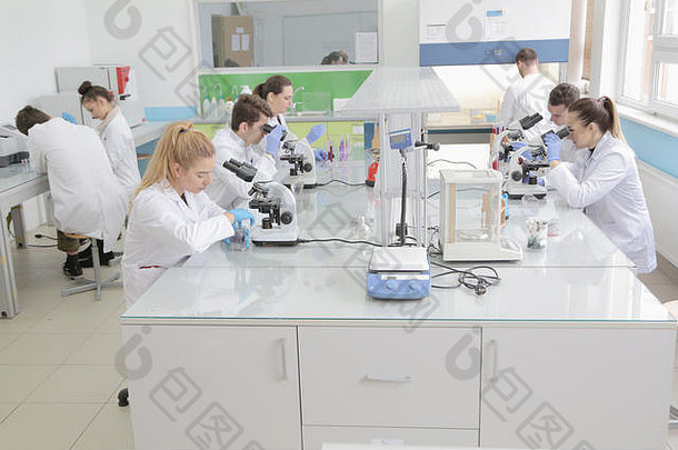 一群年轻的实验室科学家，在实验室里用试管和显微镜工作，在临床实验室进行测试或研究。科学、化学、生物学