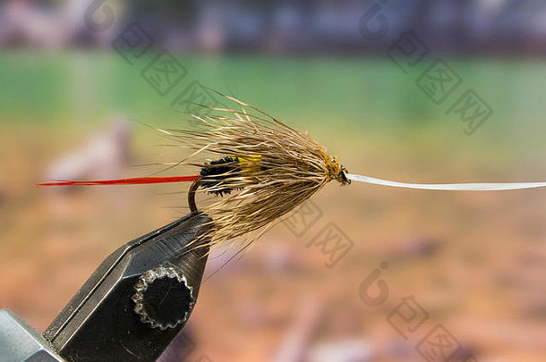 西方蜜蜂鹿头发干飞钩大小尾巴红色的羽毛身体黑色的黄色的绳绒线梳理沿海鹿身体头发