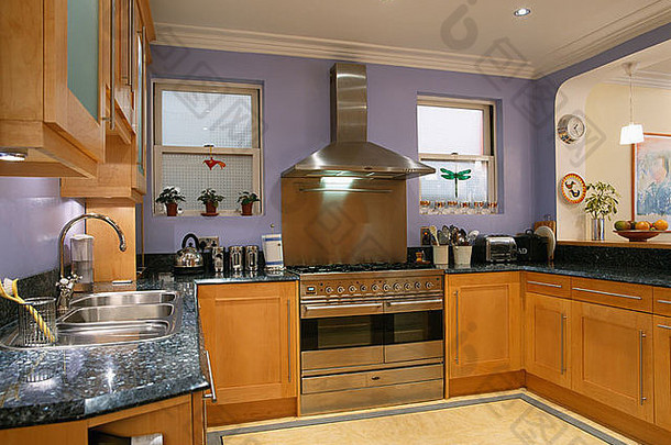 现代紫<strong>红</strong>色厨房中的<strong>不锈钢</strong>炉灶和提取器，配有木制装置和羽绒灯
