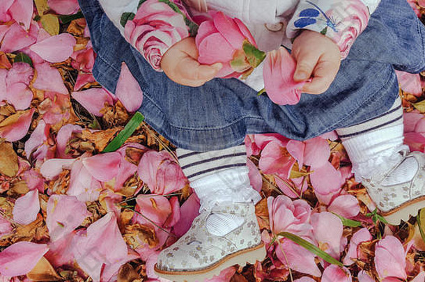 前视图婴儿女孩座位地面覆盖粉红色的花瓣条纹状的连裤袜蓝色的裙子银鞋子持有卡梅利亚花手