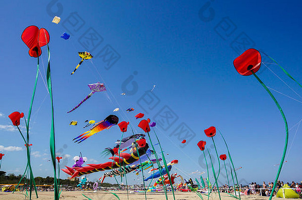 蓝天风筝节上美丽的风筝