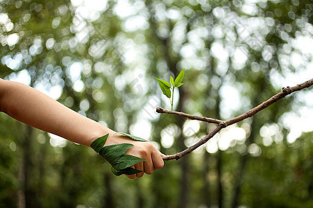 环境概念握手人类手树
