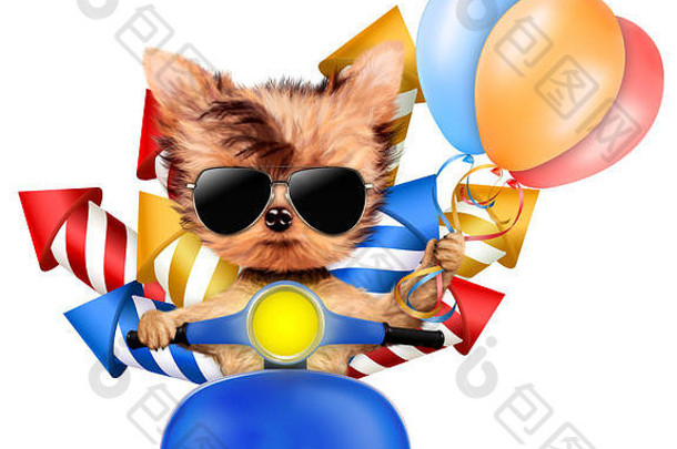有趣的狗携带烟花火箭和气球，它们被隔离在白色背景上。生日和派对概念。真的3D插图。