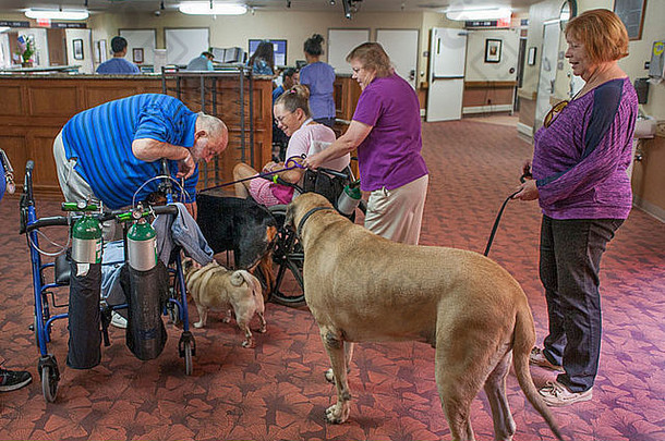 南加州一家康复诊所的病人向一名志愿者带来的慰安犬致意，以寻求情感上的支持。
