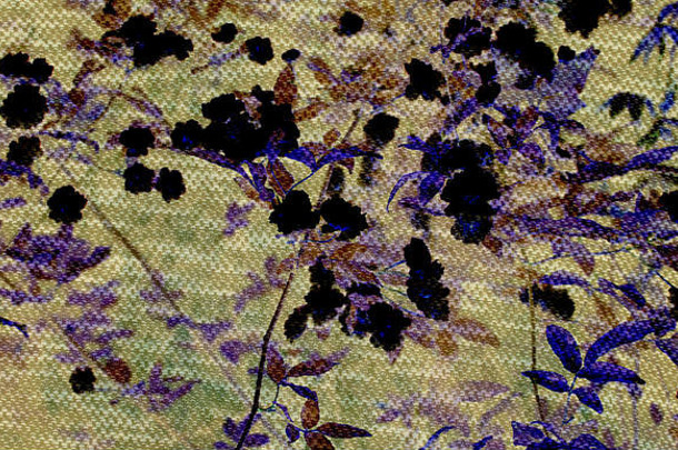 采用<strong>照片</strong>拼贴技术制作的浪漫花卉/花卉图案的数字艺术。使用织物/织物纹理。