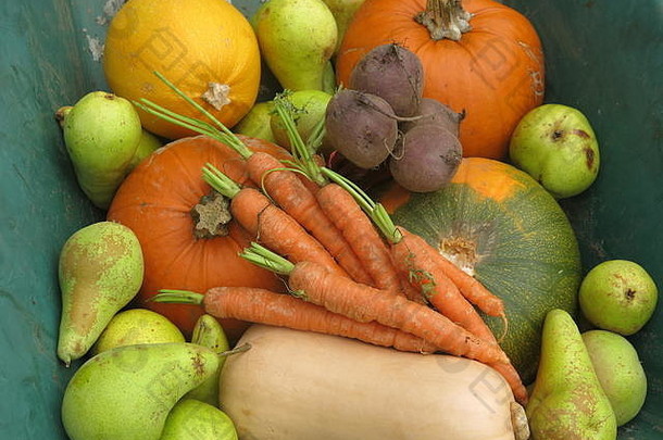 丰收节的秋季水果和蔬菜的多彩混合；来自英国花园的南瓜、南瓜、胡萝卜、甜菜根和梨，2019年10月