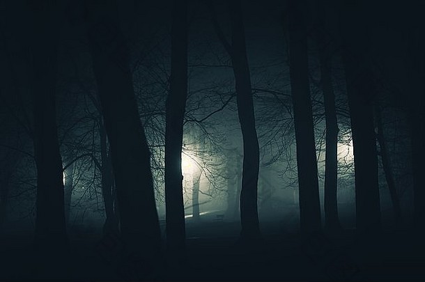 黑暗令人毛骨悚然的城市公园多雾的令人毛骨悚然的公园晚上