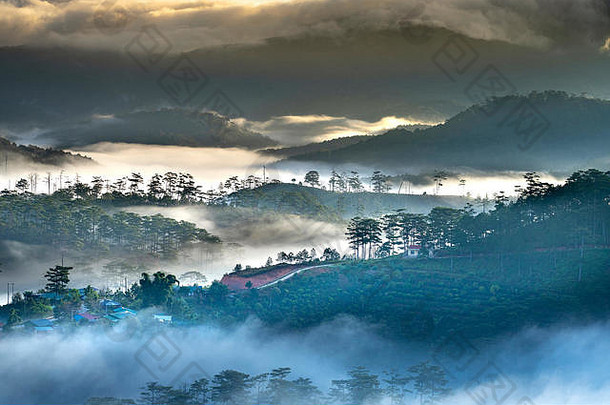 美丽的黎明景象，反射的光线穿过松林上空奇异的云层，创造了令人印象深刻的呼吸